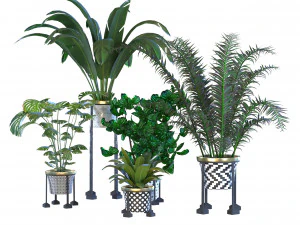 plants vol 01 3D Model