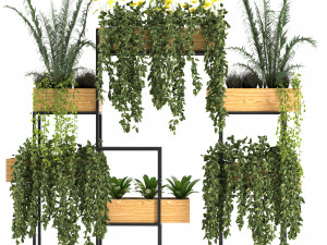 flowers box set 01 3D 模型