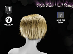 pixie blunt cut bangs grooming real-time hairstyle unreal engine 4 3D Model