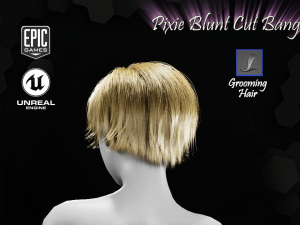 pixie blunt cut bangs grooming real-time hairstyle unreal engine 4 3D 모델