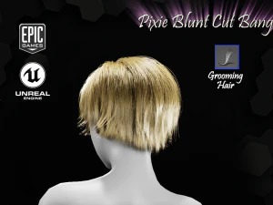 pixie blunt cut bangs grooming real-time hairstyle unreal engine 4 3D Model