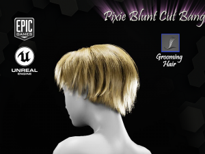 pixie blunt cut bangs grooming real-time hairstyle unreal engine 4 3D 모델