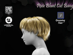 pixie blunt cut bangs grooming real-time hairstyle unreal engine 4 3D Model