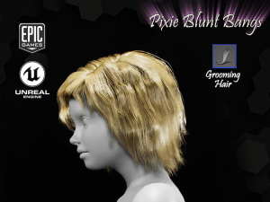 pixie blunt bangs grooming real-time hairstyle unreal engine 4 3D 모델