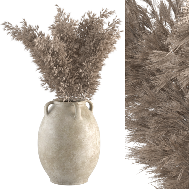 Dried Plant No 1 Modelo 3D .c4d .max .obj .3ds .fbx .stl .blend 