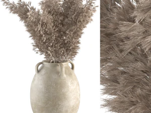 Suszona roślina nr 1 Model 3D