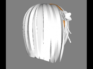 Female hair 3Dモデル