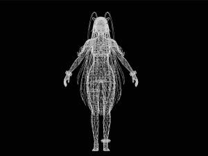 Female Swimsiut Character 3D Model