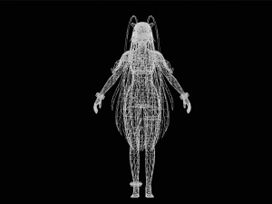 Female Swimsiut Character 3D Model