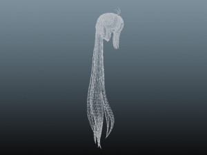 Female hair 3 colors Modelo 3D