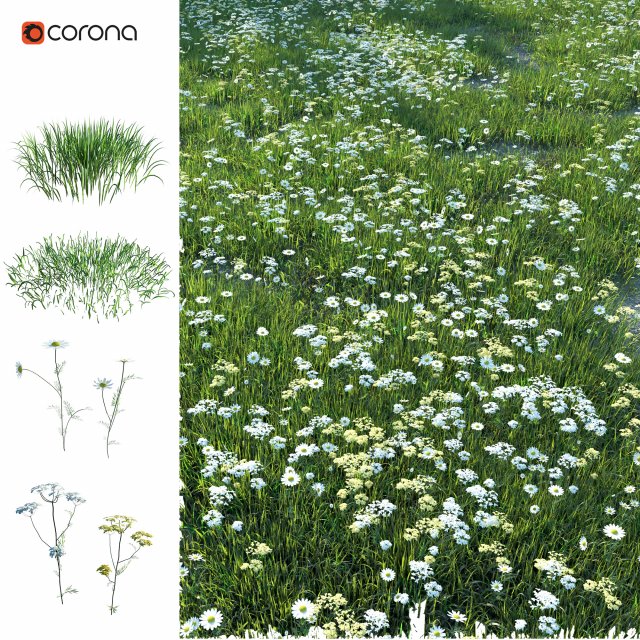 grassland1 3Dモデル .c4d .max .obj .3ds .fbx .stl .blend 