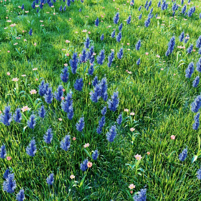 grassland2 Modèle 3D .c4d .max .obj .3ds .fbx .stl .blend