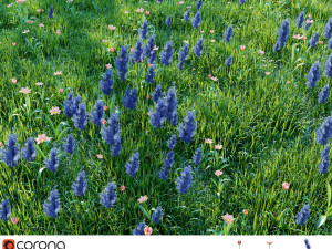 grassland2 Modèle 3D