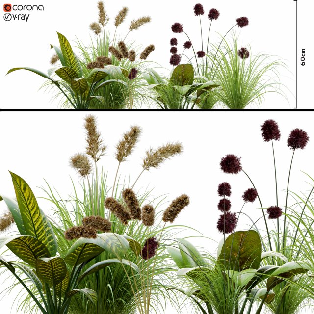 plantset Modèle 3D .c4d .max .obj .3ds .fbx .stl .blend 