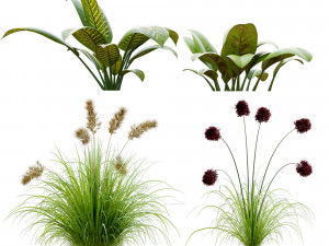 plantset Modèle 3D