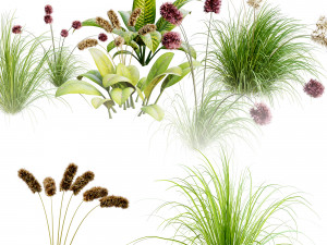 plantset Modèle 3D