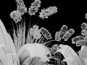 plantset Modèle 3D
