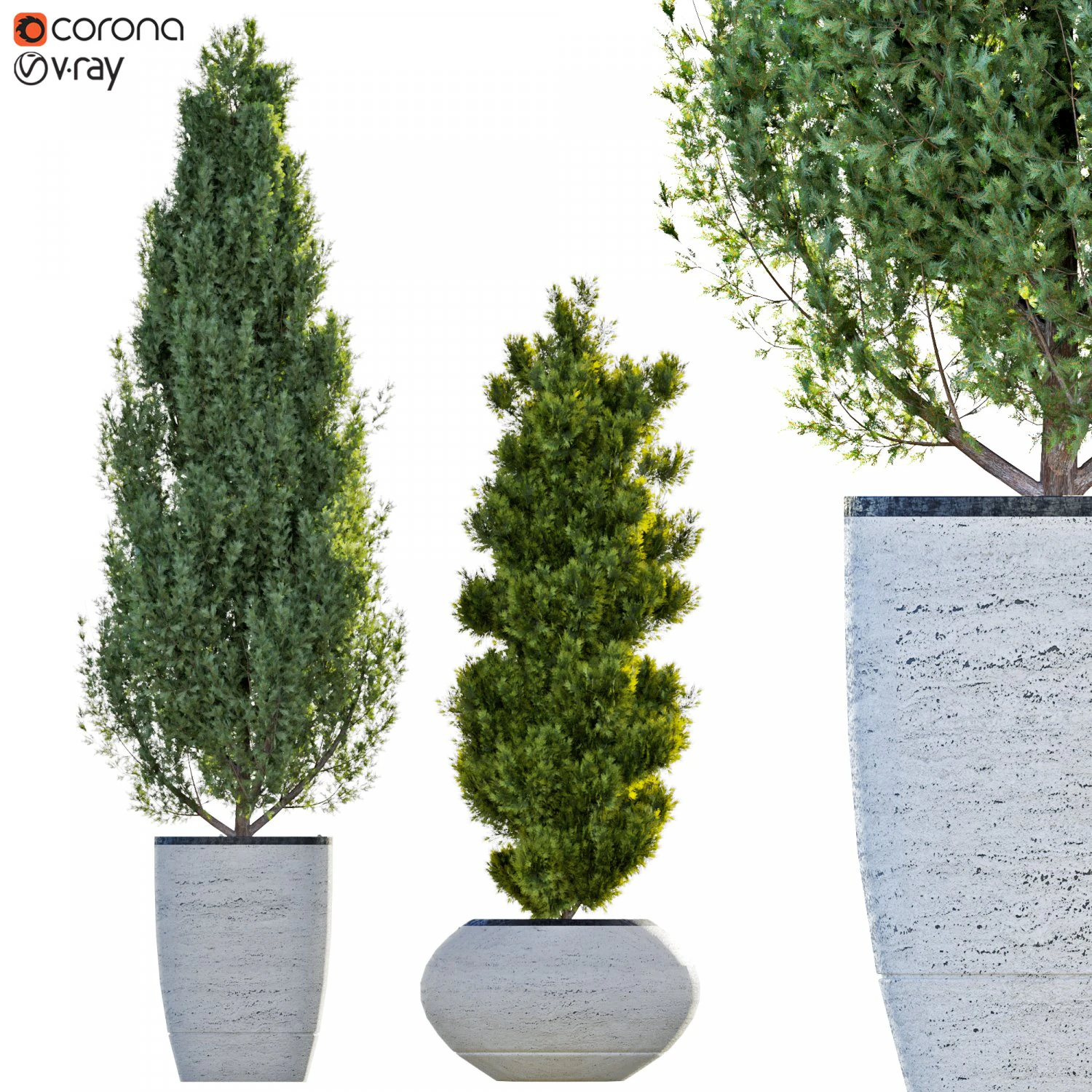 two pine in flower pot 3D Model .c4d .max .obj .3ds .fbx .stl .blend 