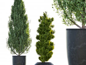 two pine in flower pot 3D Model
