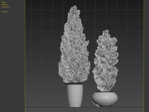 two pine in flower pot Modelo 3D