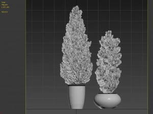 two pine in flower pot 3D Model