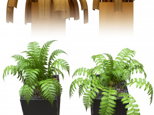 two fern plant in metal flower pot 3D Model