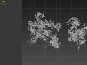 two young tree Modèle 3D