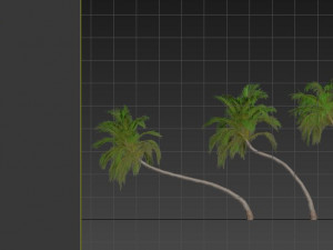 three coconut palm 3D Model