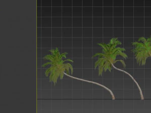 three coconut palm 3D Model