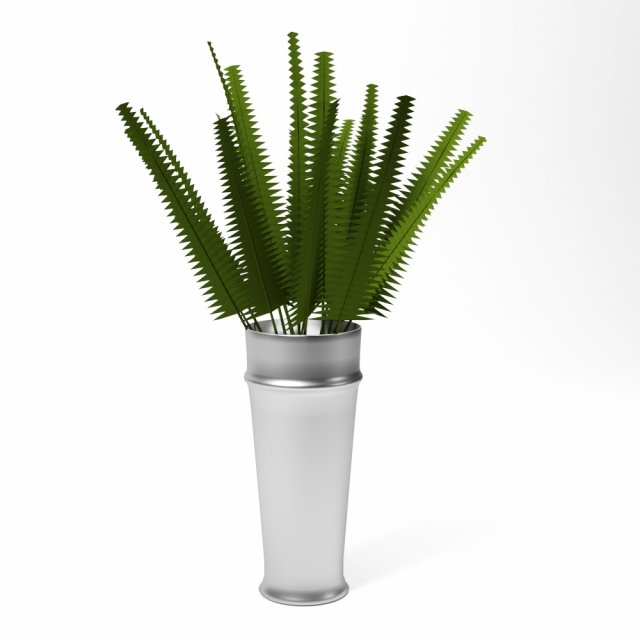fern 3D Модель .c4d .max .obj .3ds .fbx .stl .blend 