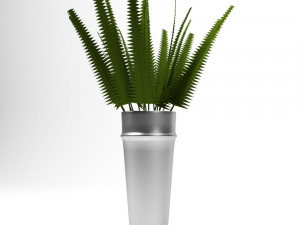 fern 3D Модель