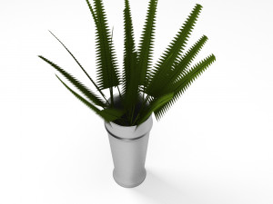 fern 3D Модель