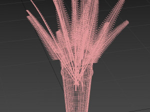 fern 3D Модель