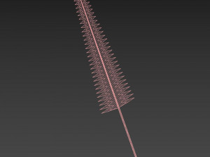 fern 3D Модель