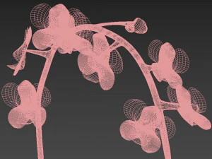 flower 3D Model