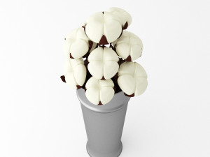 cotton Modelo 3D