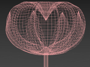 cotton Modelo 3D