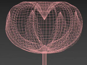 algod&atilde;o Modelo 3D