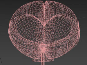 algod&atilde;o Modelo 3D