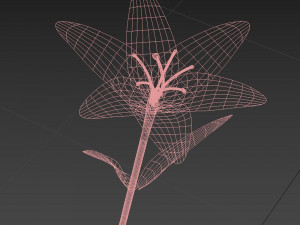 flower Modèle 3D