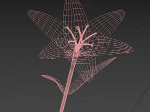 flower 3D Model