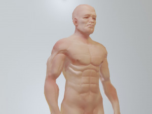 man low polygon 3D Model