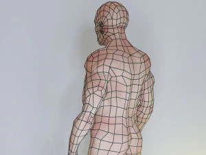 man low polygon 3D Model