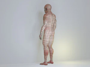 man low polygon 3D Model
