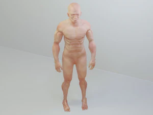 man low polygon 3D Model