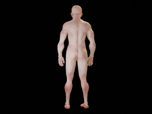 man low polygon 3D Model