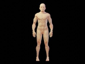 man low polygon Modelo 3D