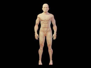 man low polygon 3D Model