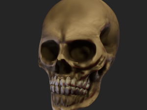scull 3d low polygon 3D Model