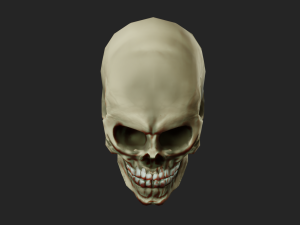 scull 3d low polygon 3D Model